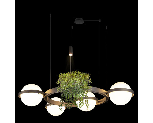 Дополнительное фото Люстра подвесная Loft IT Jardin 10121/4 Dark grey: Купить в Интернет магазин освещения GCSVET.RU