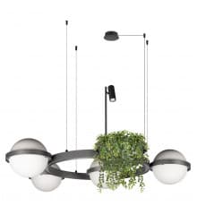 Люстра подвесная Loft IT Jardin 10121/4 Dark grey