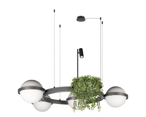 Основное фото Люстра подвесная Loft IT Jardin 10121/4 Dark grey: Купить в Интернет магазин освещения GCSVET.RU