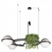 Основное фото Люстра подвесная Loft IT Jardin 10121/4 Dark grey: Купить в Интернет магазин освещения GCSVET.RU