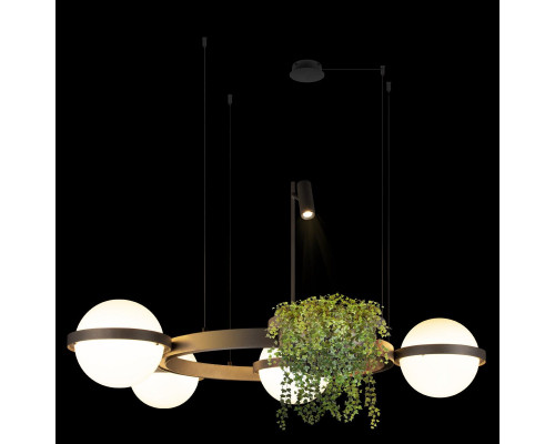 Дополнительное фото Люстра подвесная Loft IT Jardin 10121/4 Dark grey: Купить в Интернет магазин освещения GCSVET.RU