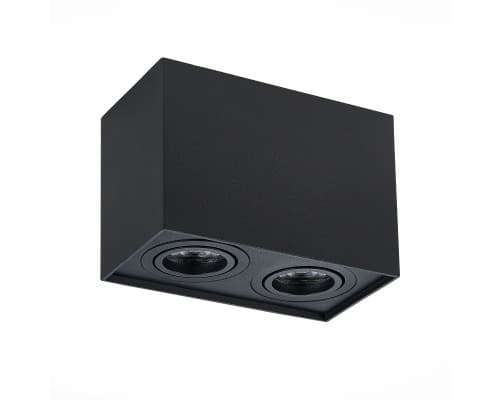 Дополнительное фото Светильник потолочный ST LUCE ST109.407.02: Купить в Интернет магазин освещения GCSVET.RU