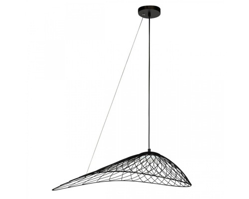 Основное фото Светильник подвесной Loft IT Tressage 10127/760 Black: Купить в Интернет магазин освещения GCSVET.RU