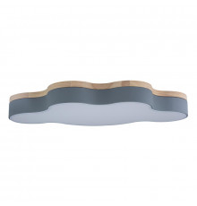 Светильник потолочный Loft IT AXEL 10005/36 Grey