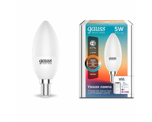 Основное фото Светодиодная лампа для диммера Gauss E14 5W 2700-6500K матовая 1110112: Купить в Интернет магазин освещения GCSVET.RU