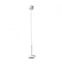 Светильник подвесной ST Luce ST104.503.06