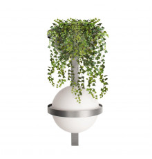 Светильник настенный Loft IT Jardin 10121W/B Dark grey