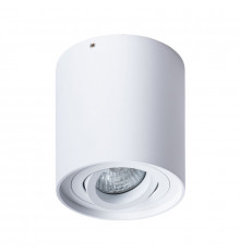 Светильник потолочный Arte Lamp Falcon A5645PL-1WH