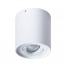 Основное фото Светильник потолочный Arte Lamp Falcon A5645PL-1WH: Купить в Интернет магазин освещения GCSVET.RU