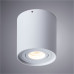 Дополнительное фото Светильник потолочный Arte Lamp Falcon A5645PL-1WH: Купить в Интернет магазин освещения GCSVET.RU