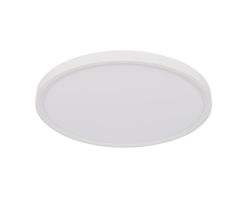 Основное фото Светильник потолочный Loft IT Extraslim 10227/40 White: Купить в Интернет магазин освещения GCSVET.RU