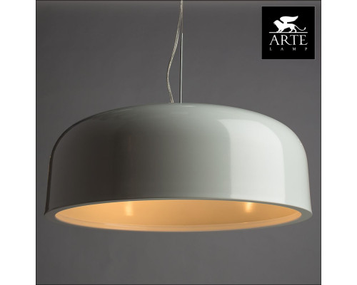 Дополнительное фото Светильник подвесной Arte Lamp Paleolus A3401SP-3WH: Купить в Интернет магазин освещения GCSVET.RU