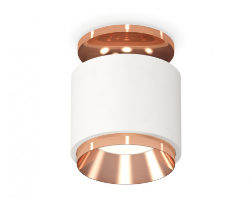 Основное фото Светильник потолочный Ambrella Light Techno Spot XS7510140 (N7930, C7510, N7035): Купить в Интернет магазин освещения GCSVET.RU