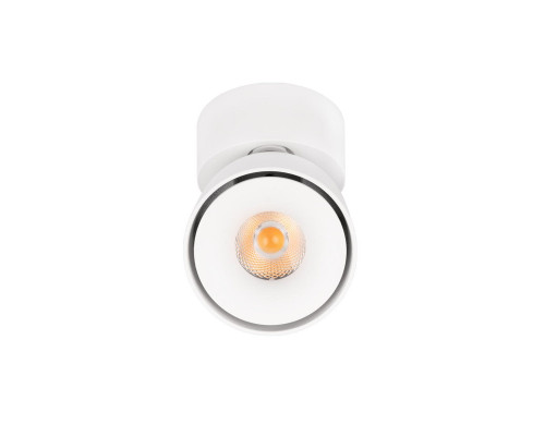 Дополнительное фото Накладной Светильник спот Loft IT Focus 10323/A White: Купить в Интернет магазин освещения GCSVET.RU
