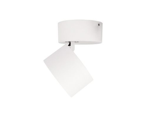 Дополнительное фото Накладной Светильник спот Loft IT Focus 10323/A White: Купить в Интернет магазин освещения GCSVET.RU