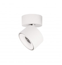 Накладной Светильник спот Loft IT Focus 10323/A White
