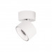 Основное фото Накладной Светильник спот Loft IT Focus 10323/A White: Купить в Интернет магазин освещения GCSVET.RU