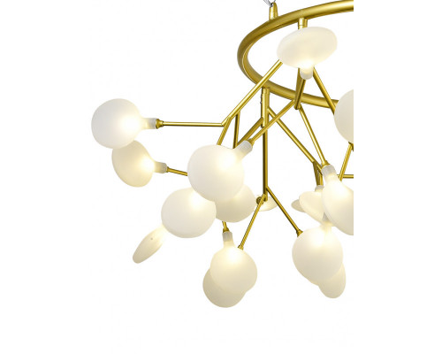Дополнительное фото Люстра подвесная Natali Kovaltseva GRACE 75128/8C GOLD SATIN: Купить в Интернет магазин освещения GCSVET.RU