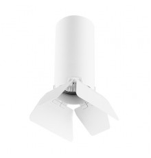 Светильник потолочный Lightstar RULLO R486436 (214486+202436)