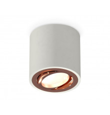 Светильник потолочный Ambrella Light Techno Spot XS7533005 (C7533, N7005)