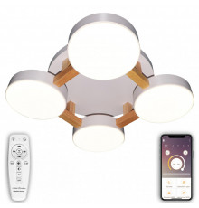 Светильник потолочный Natali Kovaltseva LED LAMPS 81325