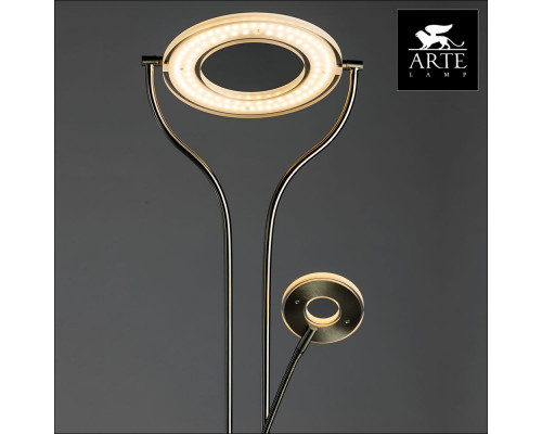 Дополнительное фото Напольный светильник Arte Lamp Duetto Led A5904PN-2SS: Купить в Интернет магазин освещения GCSVET.RU