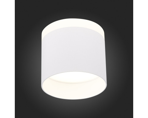 Дополнительное фото Светильник потолочный LED ST Luce Panaggio ST102.542.12: Купить в Интернет магазин освещения GCSVET.RU