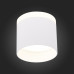 Дополнительное фото Светильник потолочный LED ST Luce Panaggio ST102.542.12: Купить в Интернет магазин освещения GCSVET.RU