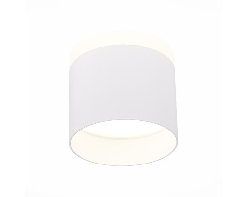 Основное фото Светильник потолочный LED ST Luce Panaggio ST102.542.12: Купить в Интернет магазин освещения GCSVET.RU