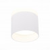 Основное фото Светильник потолочный LED ST Luce Panaggio ST102.542.12: Купить в Интернет магазин освещения GCSVET.RU