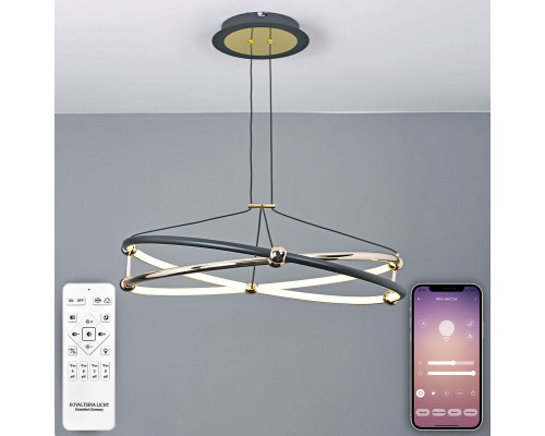 Дополнительное фото Люстра подвесная Natali Kovaltseva HIGH-TECH LED LAMPS 82049: Купить в Интернет магазин освещения GCSVET.RU