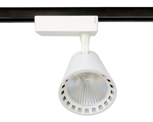 Дополнительное фото Светильник трековый (однофазный) Ambrella Light Track System GL5975: Купить в Интернет магазин освещения GCSVET.RU
