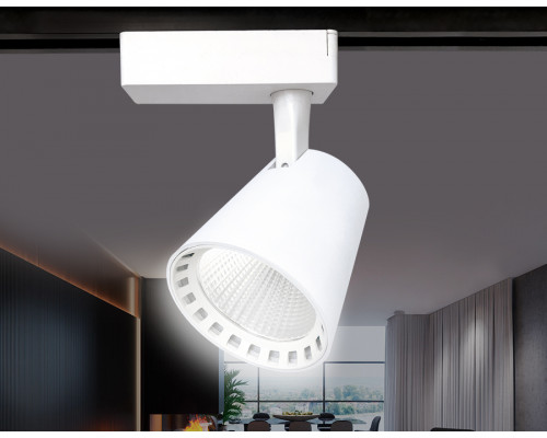 Дополнительное фото Светильник трековый (однофазный) Ambrella Light Track System GL5975: Купить в Интернет магазин освещения GCSVET.RU