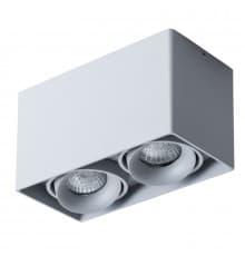 Светильник потолочный Arte Lamp Pictor A5654PL-2GY