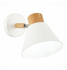 Светильник спот Evoluce Buve SLE103701-01