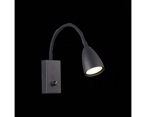 Дополнительное фото Светильник настенный ST LUCE AMIO SL1014.401.01: Купить в Интернет магазин освещения GCSVET.RU