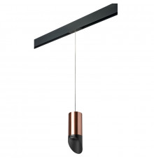 Светильник трековый Lightstar Rullo PRORP43037 (214430+595857+201437)