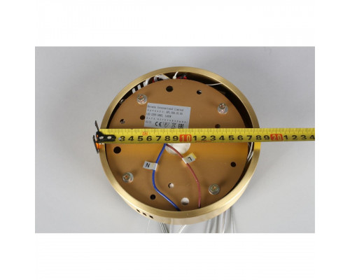 Дополнительное фото Люстра подвесная LED Aployt Nicoletta APL.026.13.85: Купить в Интернет магазин освещения GCSVET.RU