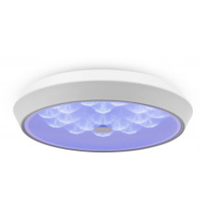 Светильник потолочный Freya Cells FR10012CL-L24W