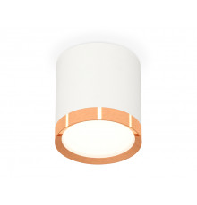 Светильник потолочный Ambrella Light Techno Spot XS8141005 (C8141, N8126)
