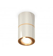 Светильник потолочный Ambrella Light Techno Spot XS7405060 (C7405, A2072, C7405, N7004)