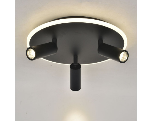 Дополнительное фото Светильник потолочный Escada 20046SMA/03LED BK: Купить в Интернет магазин освещения GCSVET.RU