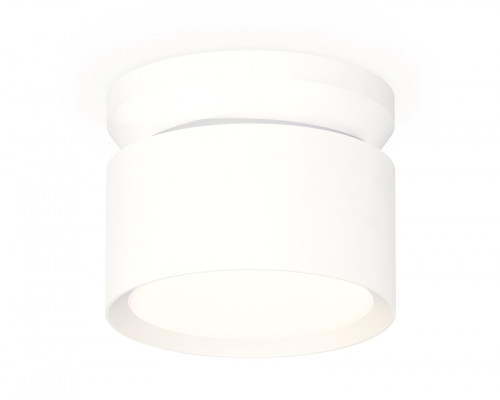 Основное фото Светильник потолочный Ambrella Light Techno Spot XS8101045 (N8901, C8101, N8112): Купить в Интернет магазин освещения GCSVET.RU
