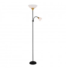 Напольный светильник Arte Lamp Duetto A9569PN-2BK