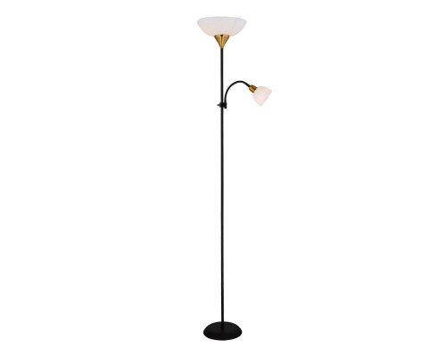 Основное фото Напольный светильник Arte Lamp Duetto A9569PN-2BK: Купить в Интернет магазин освещения GCSVET.RU