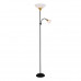 Основное фото Напольный светильник Arte Lamp Duetto A9569PN-2BK: Купить в Интернет магазин освещения GCSVET.RU