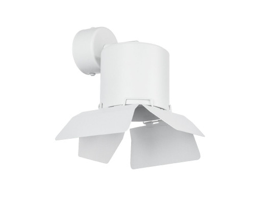 Основное фото Настенный светильник Lightstar Rullo (213486+590106+202486) RBX3486486: Купить в Интернет магазин освещения GCSVET.RU