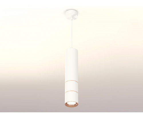 Дополнительное фото Светильник подвесной Ambrella Light Techno Spot XP7401100 (A2310, C7455, A2073, C7401, N7015): Купить в Интернет магазин освещения GCSVET.RU
