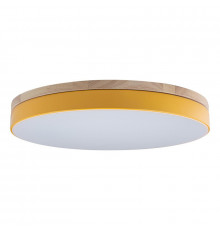Светильник потолочный Loft IT AXEL 10001/36 Yellow