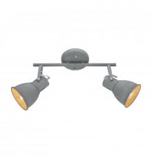 Светильник спот Arte Lamp A1677PL-2GY